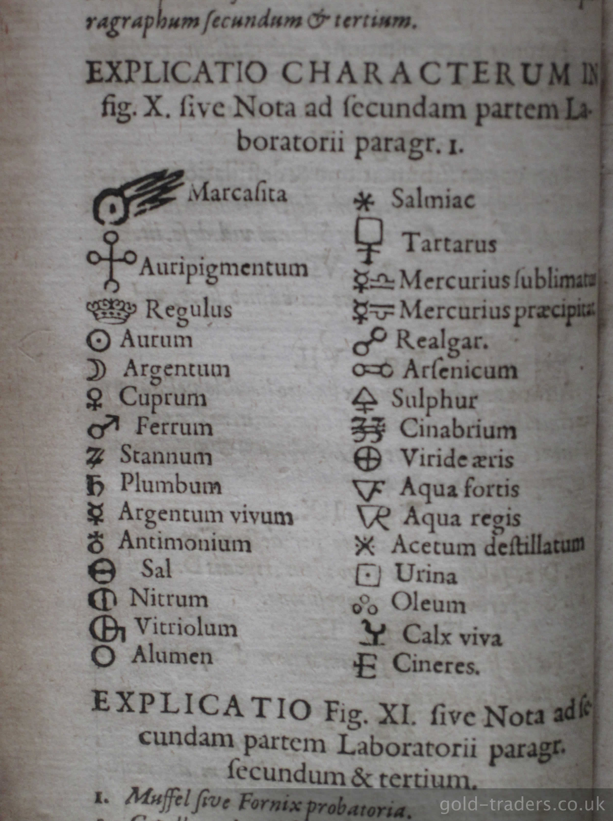 Common ingredients used in alchemy